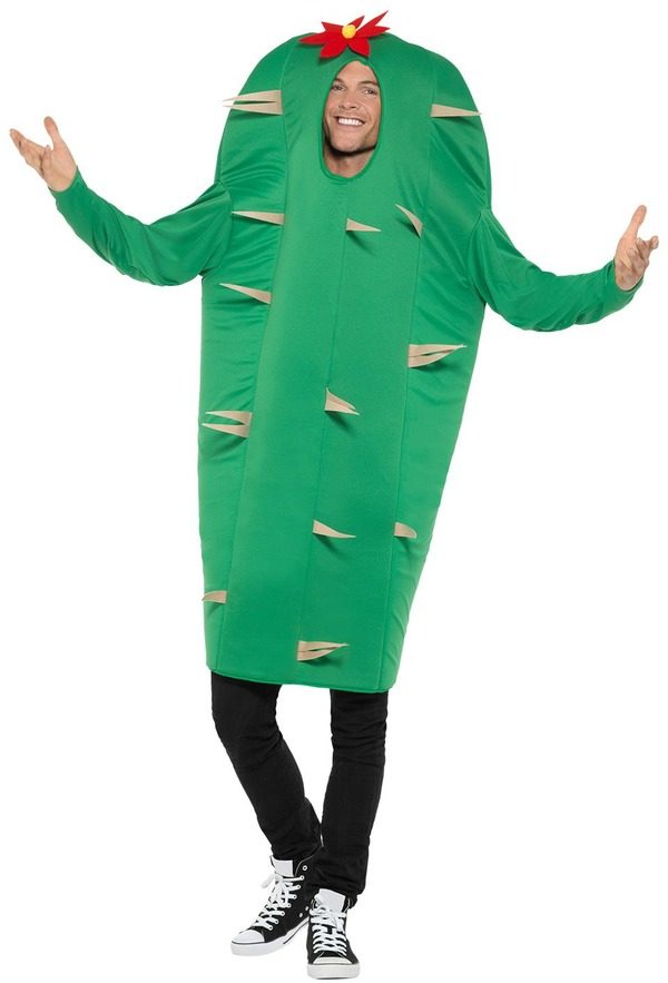 Cactus Costume - Fancy Dress Town, Superheroes & Halloween Costumes, Wigs,  Masks, Hats & Party Store