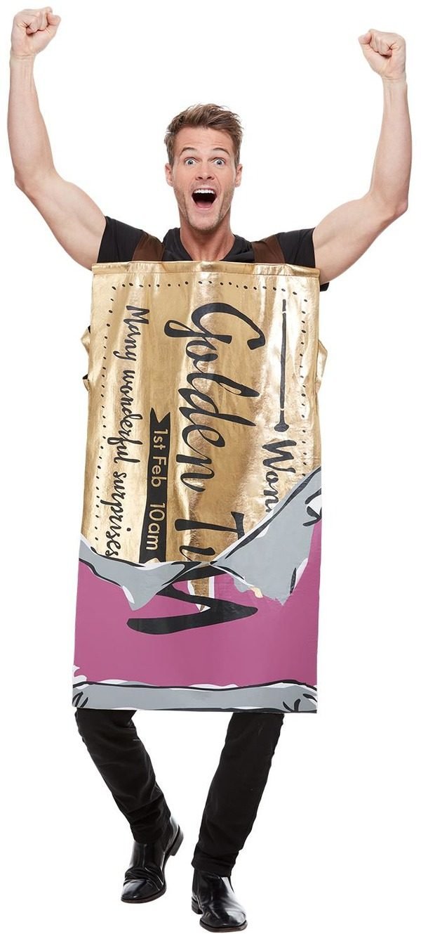 Girls Roald Dahl Winning Wonka Bar Costume Child Chocolate Factory Book Week - Foto 10